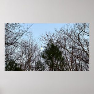 Early Evening Moon, Poster