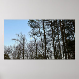 Early Evening Moon, Poster