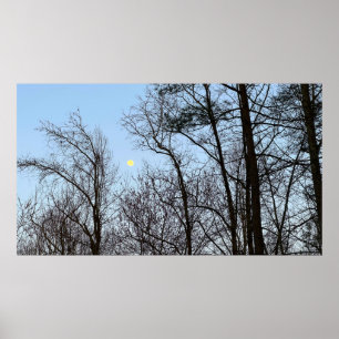 Early Evening Moon, Poster