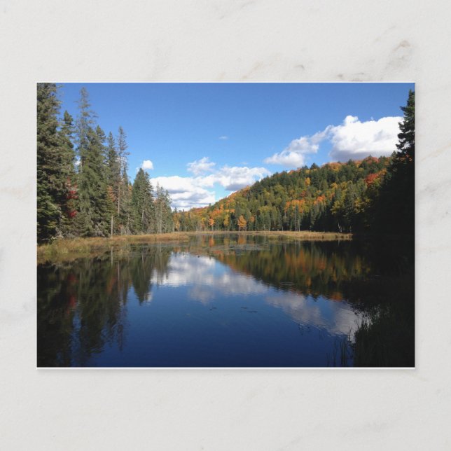 Early Fall in the Algonquin Provincial Park Postcard (Front)