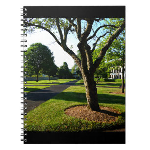 Early Morning at the Paddock Notebook