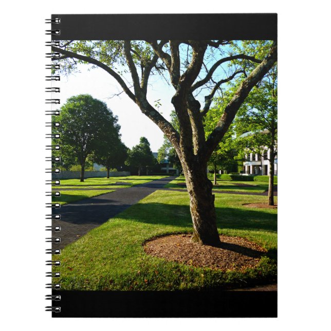 Early Morning at the Paddock Notebook (Front)