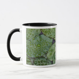 Early morning dewdrops on lily pads, Laurel Mug