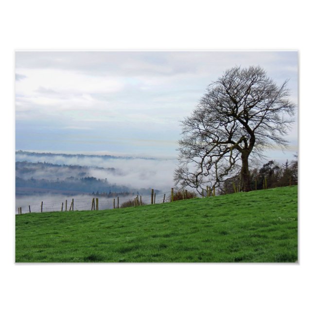 Early Morning Fog Photo Print (Front)