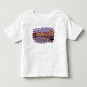 early morning Grand Canal Tour, Venice, Italy Toddler T-shirt