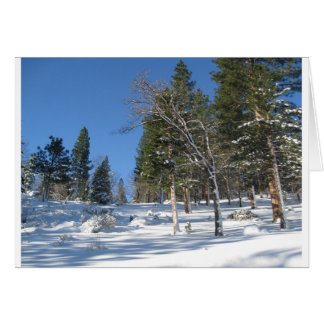 Early Morning in the Sierras