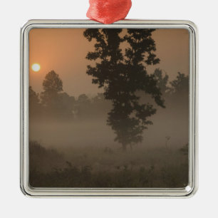 Early morning, rising sun and ground fog metal ornament