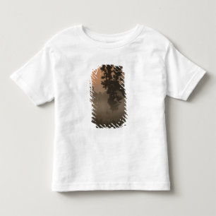 Early morning, rising sun and ground fog toddler t-shirt