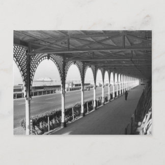 Early Morning Stroll Postcard