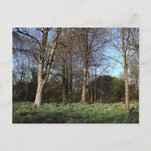 Early Spring at, Bute Park, Cardiff Postcard (Front)
