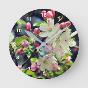 Early Spring Crabapple Blossoms 3 Close Up Round Clock