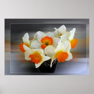 Early spring daffodils poster