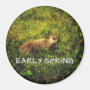 Early Spring magnet