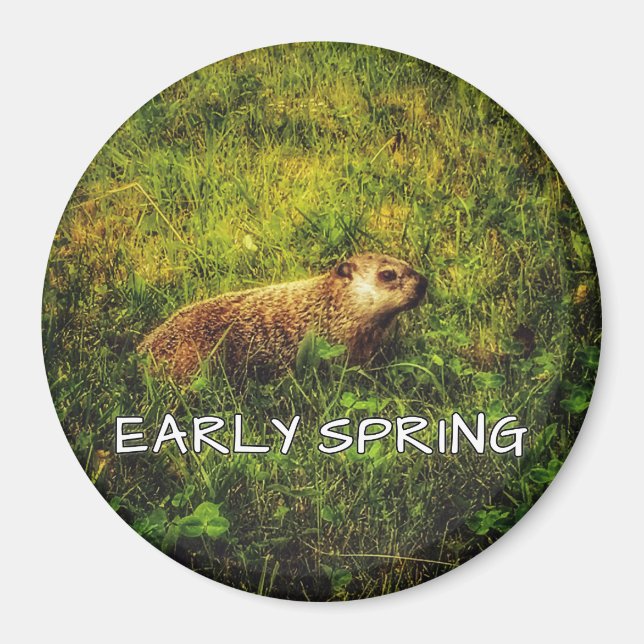 Early Spring magnet (Front)