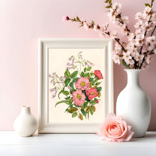 Early Wild Rose, Pentstèmon Beard-Tongue (1868) Photo Print