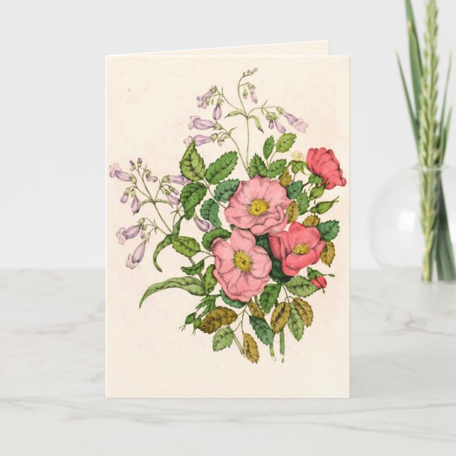 Early Wild Rose, Pentstèmon Beard-Tongue (1868) Thank You Card (Front)