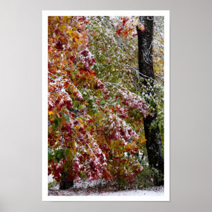 Early Winter Poster