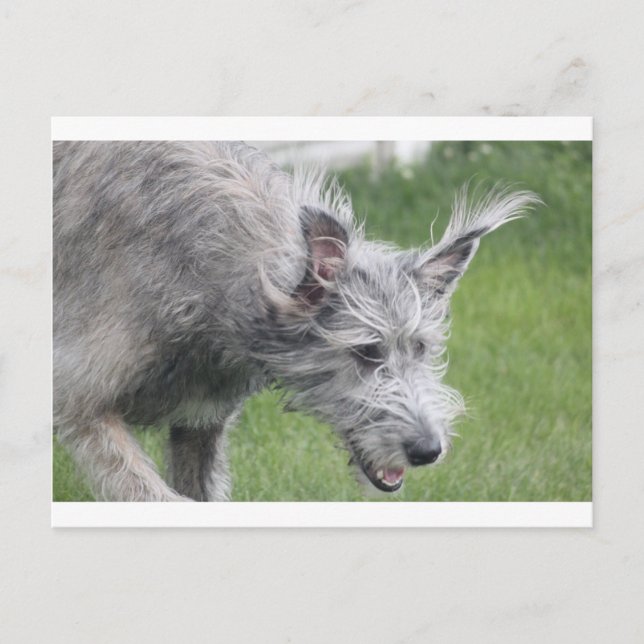 ears in motion postcard (Front)