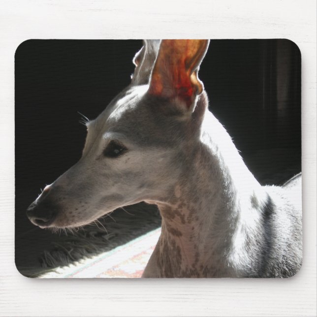 Ears Up!, photo Mouse Pad (Front)