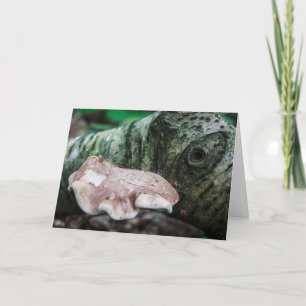 Earth Creature Blank Greeting Card