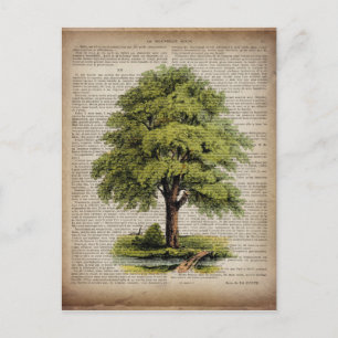Earth Day ECO dictionary prints vintage oak tree Postcard