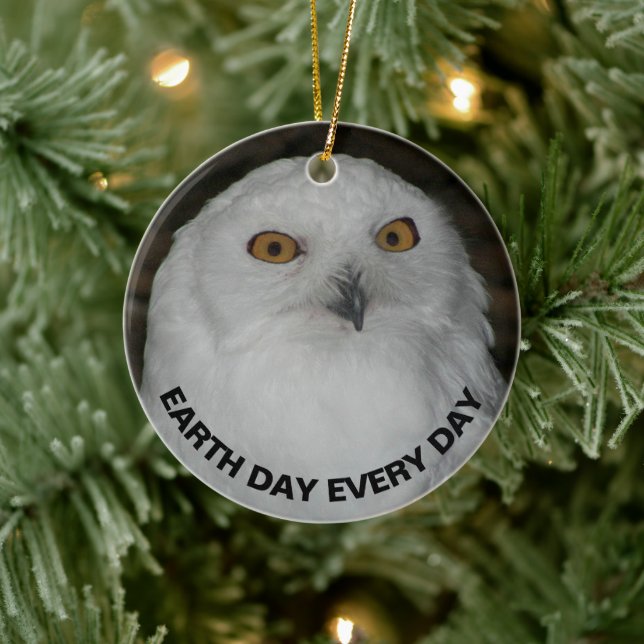 Earth Day Every Day Snowy Owl Ceramic Ornament (Tree)