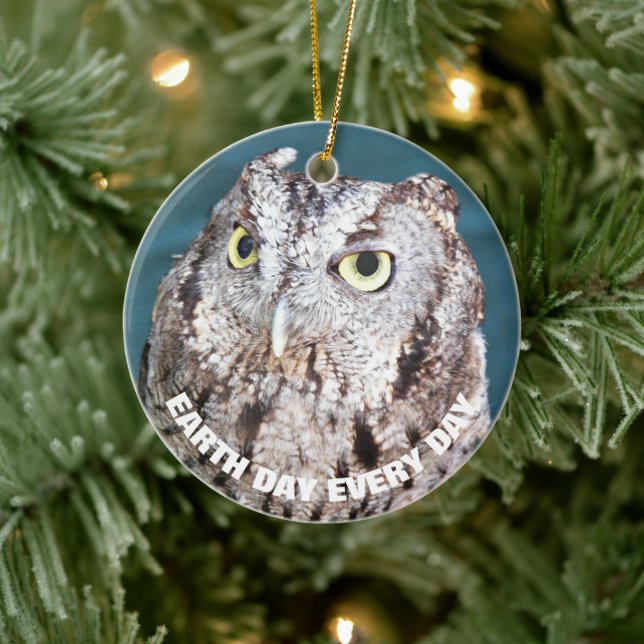 Earth Day Every Day Western Screech Owl Ceramic Ornament (Tree)