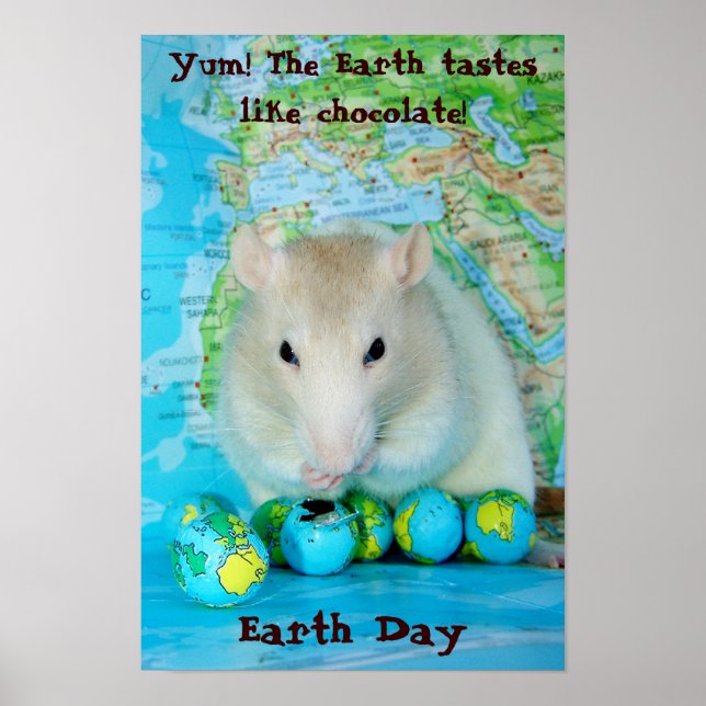 Earth Day Poster (Front)