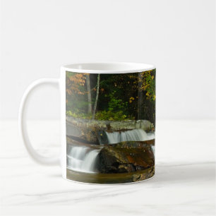 Earth Day Waterfall Mug