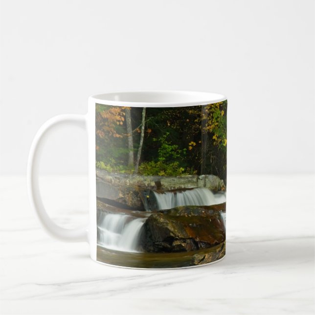 Earth Day Waterfall Mug (Left)