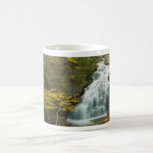 Earth Day Waterfall Mug