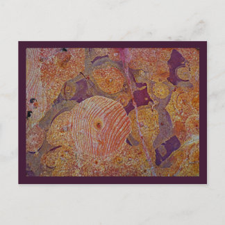 Earth Design postcard