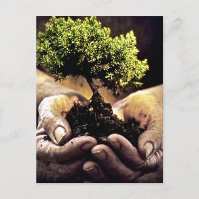 Earth Hands Postcard (Front)