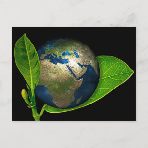 EARTH IS BORN POSTCARD