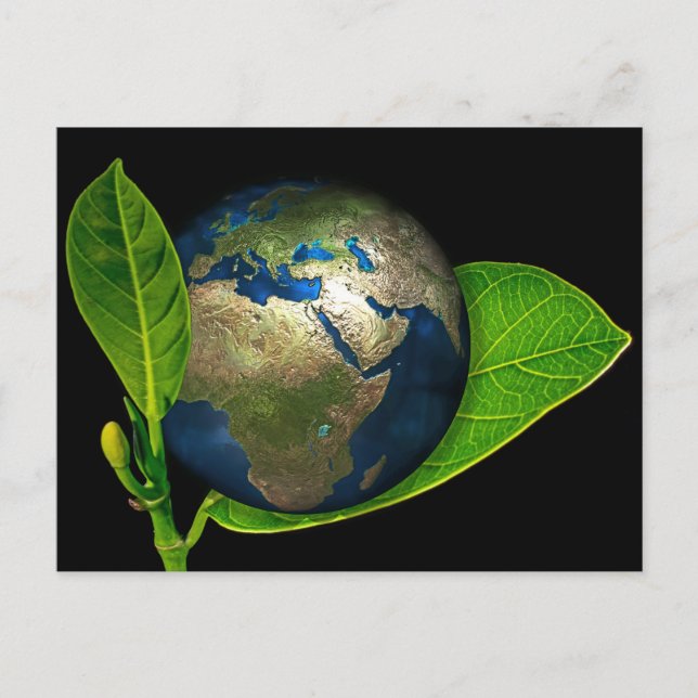 EARTH IS BORN POSTCARD (Front)