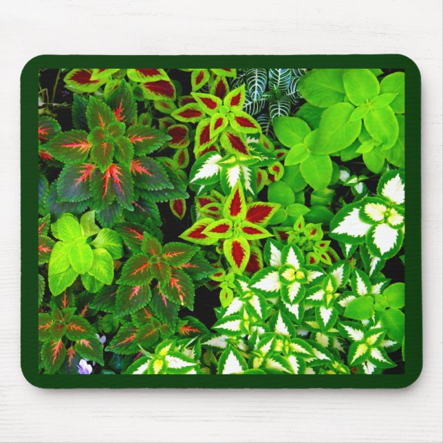 Earth Lover_ Mouse Pad (Front)