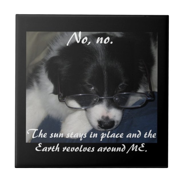 "Earth Revolves Around ME" Tile (Front)
