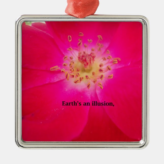 Earth's an Illusion Metal Ornament (Front)