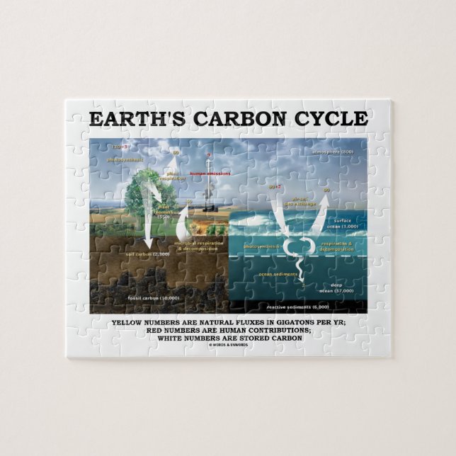 Earth's Carbon Cycle (Earth Science) Jigsaw Puzzle (Horizontal)