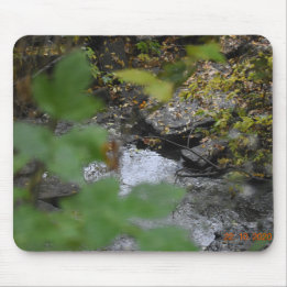 Earth's Enchantment Mouse Pad