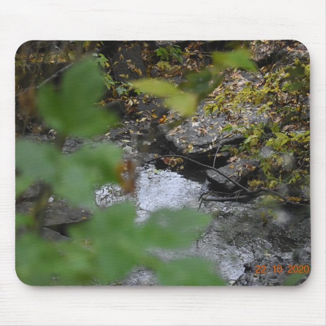Earth's Enchantment Mouse Pad (Front)