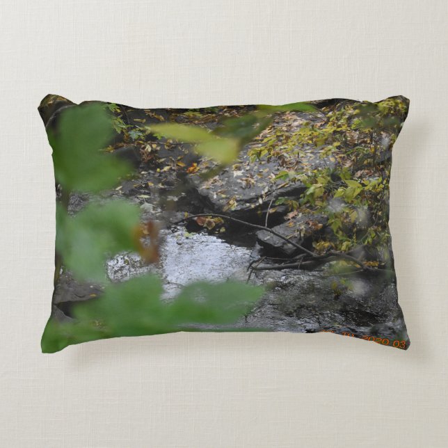 Earth's Enchantments Accent Pillow (Front)