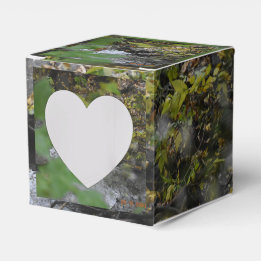 Earth's Enchantments Favor Box