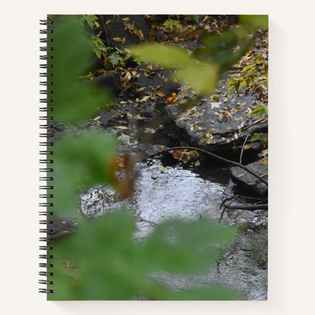 Earth's Enhancements  Spiral Notebook (Front)