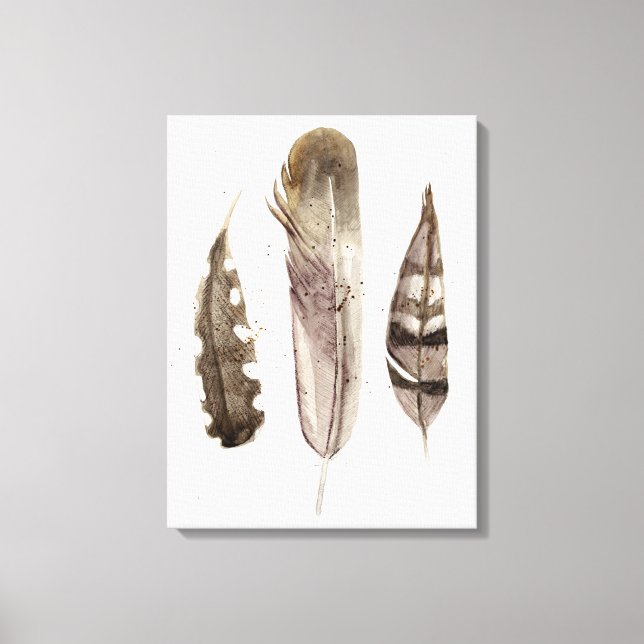 Earthtone Feathers II Canvas Print (Front)