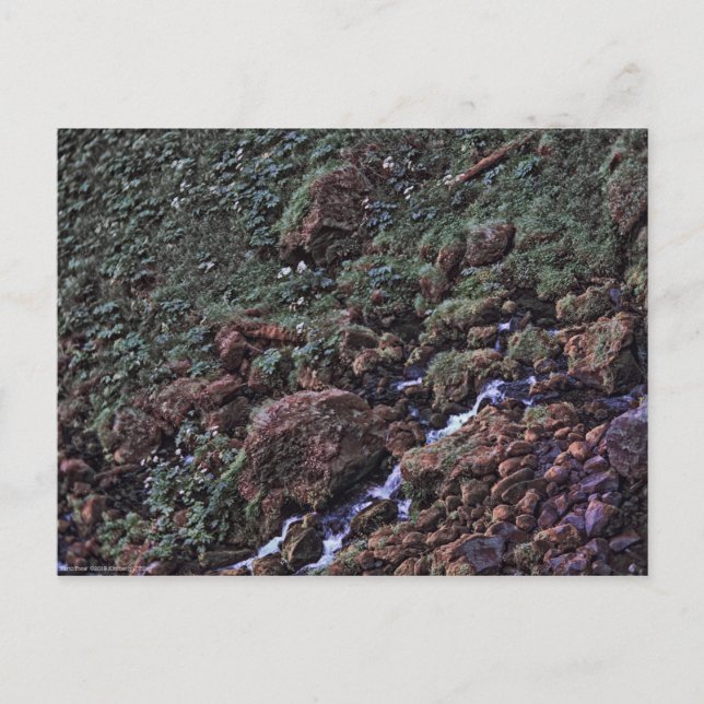 EarthTone Postcard (Front)