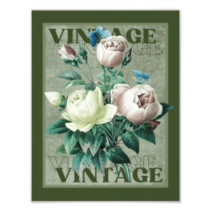Earthy Green Vintage Heirloom Roses Fine Art Print
