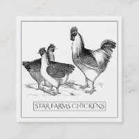 Earthy Rustic Chicken Poultry Farm