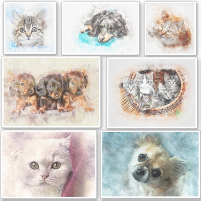 Easily create a Pet Photo Contour (Front)