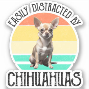 Easily Distracted By Chihuahuas